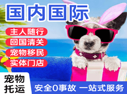 大武机场快递国际宠物托运 【国